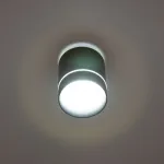 Светильник накладной Citilux Борн CL745011N от ImperiumLoft