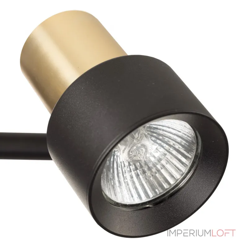 Спот поворотный Citilux SAT CL505621 от ImperiumLoft