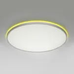 Светильник с пультом Citilux NORMA CL749600 LED RGB от ImperiumLoft