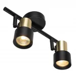 Спот поворотный Citilux SAT CL505621 от ImperiumLoft