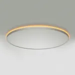 Светильник с пультом Citilux NORMA CL749600 LED RGB от ImperiumLoft