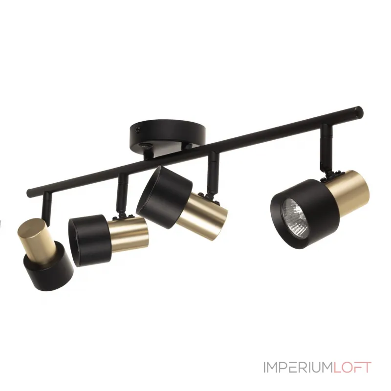 Спот поворотный Citilux SAT CL505641 от ImperiumLoft