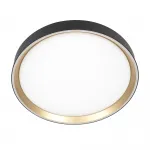 Светильник потолочный Citilux BOSS CL751351G от ImperiumLoft