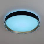 Светильник потолочный Citilux BOSS CL751351G от ImperiumLoft