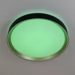 Светильник потолочный Citilux BOSS CL751351G от ImperiumLoft