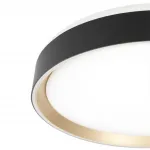 Светильник потолочный Citilux BOSS CL751351G от ImperiumLoft