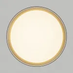 Светильник потолочный Citilux BOSS CL751351G от ImperiumLoft