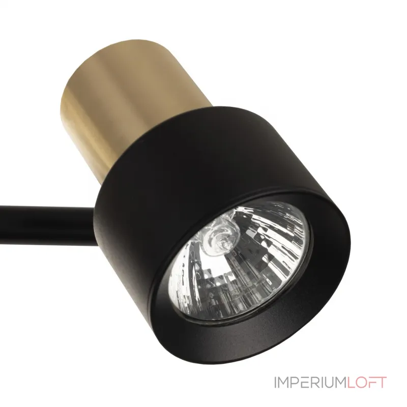 Спот поворотный Citilux SAT CL505641 от ImperiumLoft