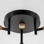 Потолочная люстра Citilux TIKA CL133131