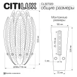 Бра Citilux DELTORO CL327320 от ImperiumLoft