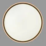 Светильник с пультом Citilux ETALON CL750501R LED RGB от ImperiumLoft