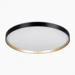 Светильник с пультом Citilux ETALON CL750501R LED RGB от ImperiumLoft