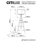 Торшер Citilux Рейнер CL806022 от ImperiumLoft