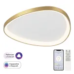 Потолочная люстра Citilux GENKA SMART CL756A162 от ImperiumLoft