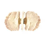 Бра Cloyd ANTIGUA 20363 от ImperiumLoft