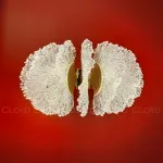 Бра Cloyd ANTIGUA 20363 от ImperiumLoft