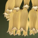 Люстра подвесная Cloyd ARGANA 11235 от ImperiumLoft