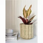 Кашпо плетеное Covali SB-4290 от ImperiumLoft