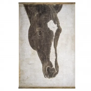 Постер "Френкель" Covali BR-5184