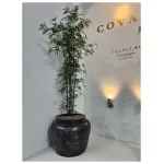 Вазон для цветов Covali AQ-10330 от ImperiumLoft