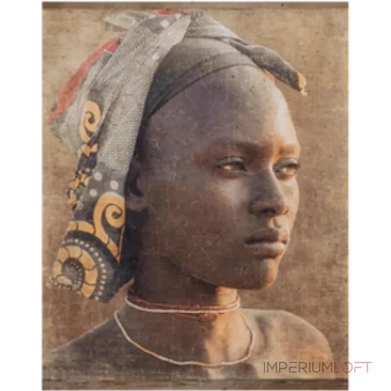 Постер "Танзания" Covali BR-5200 B от ImperiumLoft