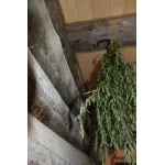 Крючок «потолочный» Covali HC-195 от ImperiumLoft