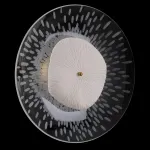 Бра Crystal Lux CONTESSA AP2.1 от ImperiumLoft