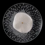 Бра Crystal Lux CONTESSA AP2.1 от ImperiumLoft