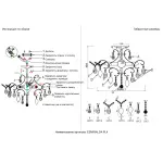 Светильник потолочный Crystal Lux ESMIRALDA PL4 SILVER 0524/104 от ImperiumLoft