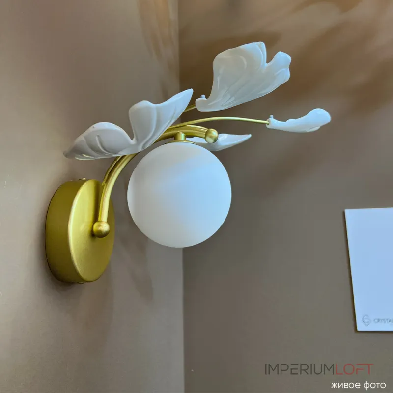 Бра Crystal Lux COLIBRI AP1 GOLD Бра Crystal Lux COLIBRI AP1 GOLD