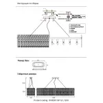Подвесная люстра Crystal Lux OVIEDO SP12 L1200