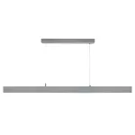 Подвесной светильник с блоком питания Dali Deko-Light Profession Down 620104 от ImperiumLoft