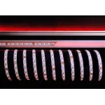 Гибкая светодиодная лента 5050-60-24V-RGB + 3000K-50m Deko-Light 930517 от ImperiumLoft