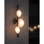 Настенный светильник Delight Collection 5055W/3 black/white от ImperiumLoft