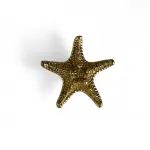 Ручка-кнопка Delight Collection MOS001 MOS006 brass от ImperiumLoft