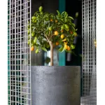 Кашпо Delight Collection TOPPER TOPPER NERO от ImperiumLoft