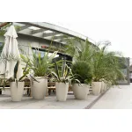 Кашпо Delight Collection Upon UPON SAHARA от ImperiumLoft