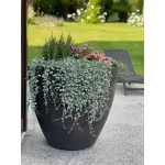 Кашпо Delight Collection Upon UPON SAHARA от ImperiumLoft