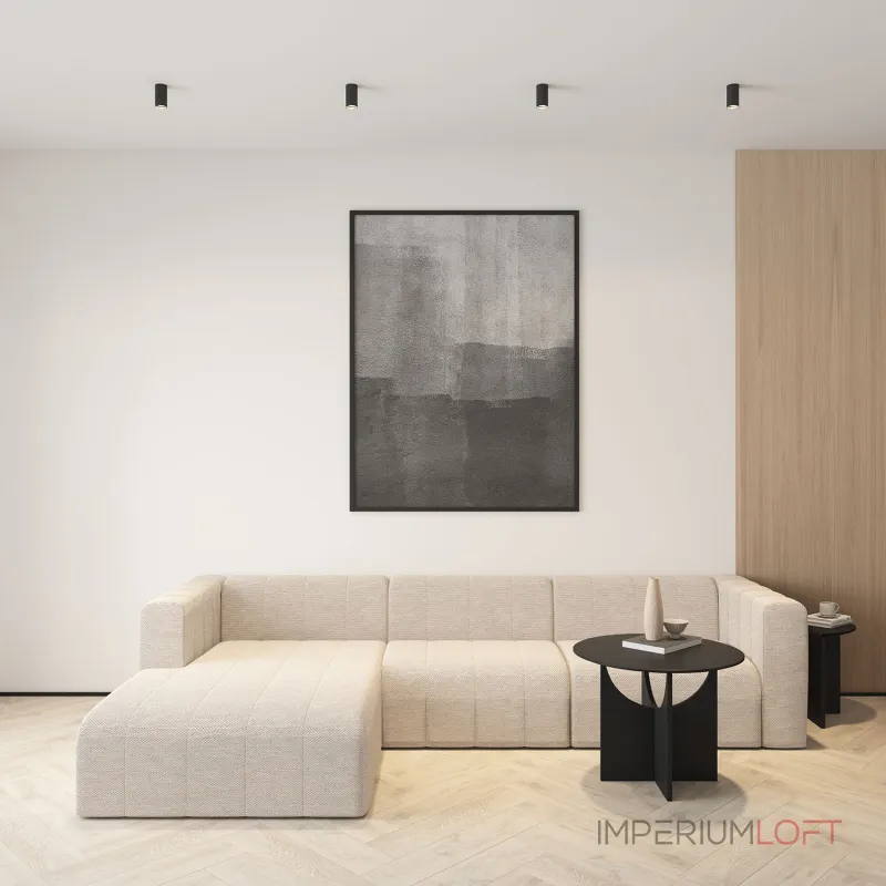 Накладной светильник Denkirs DK2005 DK2008-BK Цвет арматуры черный Цвет плафонов черный от ImperiumLoft