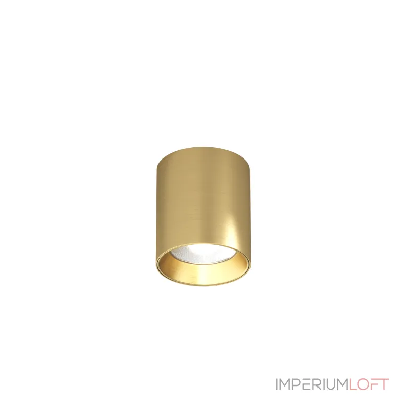 Потолочный светильник Denkirs SHINE TUBE DK2610-SB от ImperiumLoft Потолочный светильник Denkirs SHINE TUBE DK2610-SB от ImperiumLoft