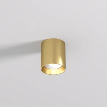 Потолочный светильник Denkirs SHINE TUBE DK2610-SB Потолочный светильник Denkirs SHINE TUBE DK2610-SB