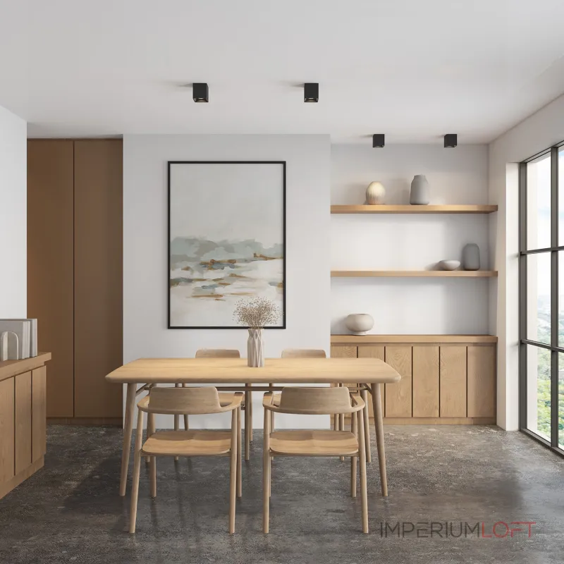 Накладной светильник Denkirs DK303 DK3030-BK от ImperiumLoft