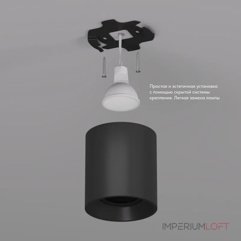 Накладной светильник Denkirs DK304 DK3040-BK Цвет арматуры черный Цвет плафонов черный от ImperiumLoft