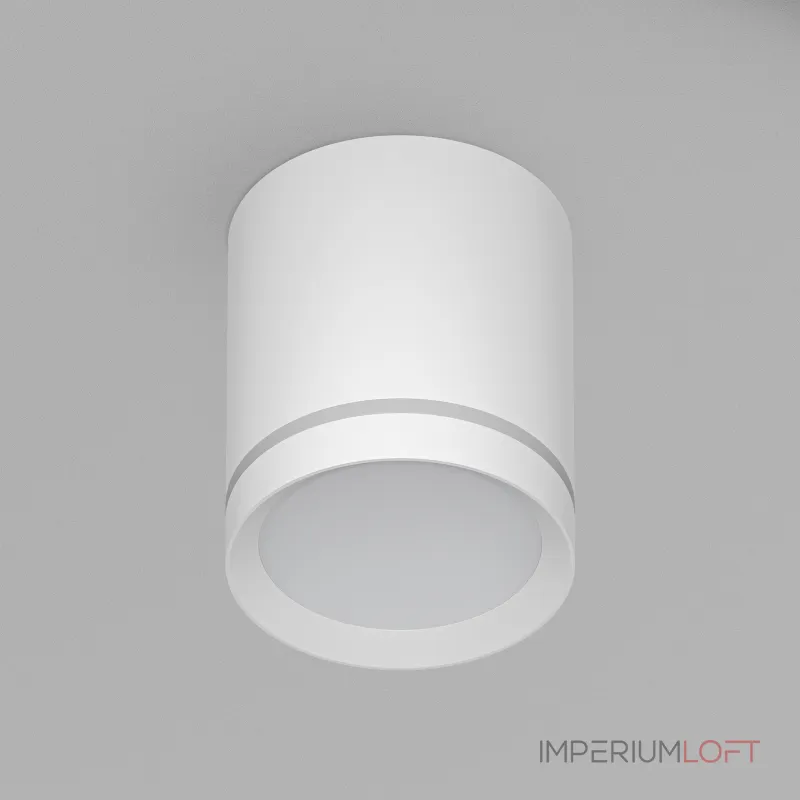 Накладной светильник Denkirs DK4016 DK4013-WH от ImperiumLoft