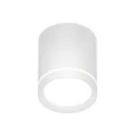 Накладной светильник Denkirs DK4016 DK4013-WH от ImperiumLoft