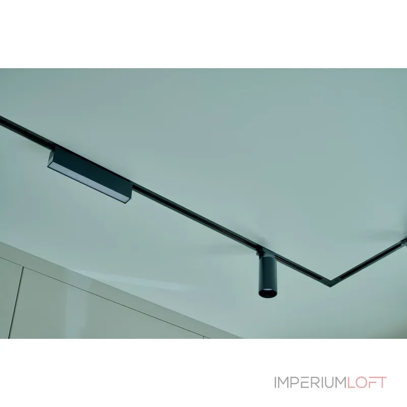 Накладной светильник Denkirs Dk64 DK6430-BK Цвет плафонов черный от ImperiumLoft