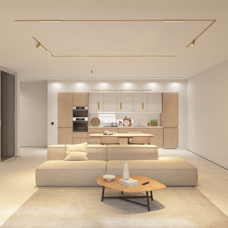Трековый светильник Denkirs SHINE SPOT ZigBee DK5944-SB от ImperiumLoft Трековый светильник Denkirs SHINE SPOT ZigBee DK5944-SB от ImperiumLoft