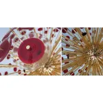 Подвесная люстра Murano Red Disco Glass Sputnik Chandelier Vistosi