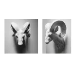 Голова барана - Белая с бронзовыми рогами от ImperiumLoft