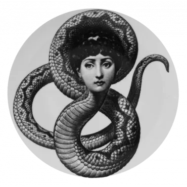 Декоративная тарелка Fornasetti 198
